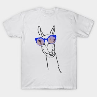 cute hipster llama in trendy colorful glasses T-Shirt